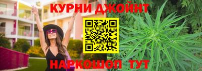 стаф Берёзовский