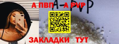 стаф Берёзовский