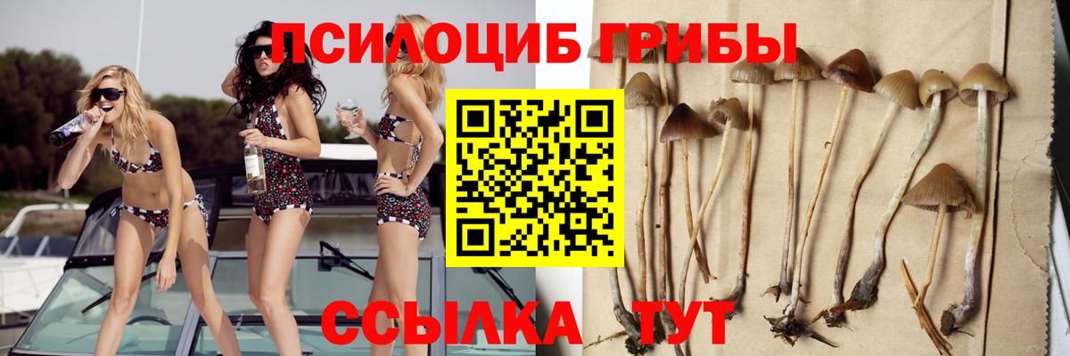 Псилоцибиновые грибы мухоморы Гуково