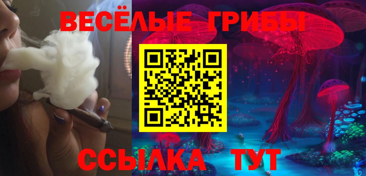 Гуково  Галлюциногенные грибы Psilocybine cubensis  Вход с VPN 